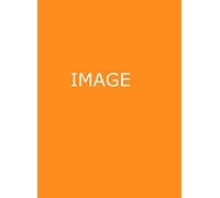 Integrated Chinese Level 1 Part 1 - Character Workbook (Simplified and Traditional characters)