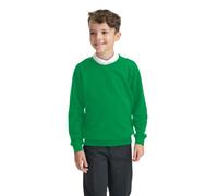 Integriti Schoolwear Boys Girls Unisex Jumper Sweatshirt Crew Neck Round Neck School Uniform Ages 1-15 Kelly Green