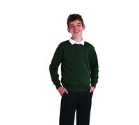 Integriti Schoolwear Boys Girls Unisex Jumper Sweatshirt Crew Neck Round Neck School Uniform Ages 1-15 Bottle Green