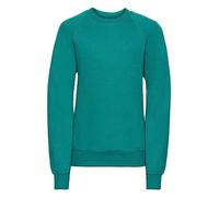 Integriti Schoolwear Boys Girls Unisex Jumper Sweatshirt Crew Neck Round Neck School Uniform Ages 1-15 Jade