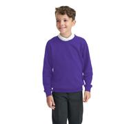 Integriti Schoolwear Boys Girls Unisex Jumper Sweatshirt Crew Neck Round Neck School Uniform Ages 1-15 Purple
