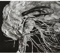 Integrity - Suicide Black Snake by Integrity (2013-06-11)