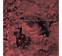 Integrity - Systems Overload (Reissue) [VINYL]