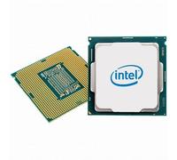 Intel S4189 Xeon Gold 6342 Tray 24x2.8 230W
