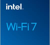 Intel Wi-Fi 7 BE202 Internal WLAN / Bluetooth 2400 Mbit/s