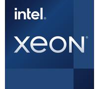 Intel Xeon E-2334 SKTLGA1200 Cache Tray 8 MB 3.40 GHz