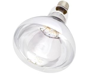 Intelec Hard Glass Infra-Red Bulb - Clear - 250w