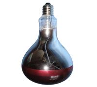 Intelec Hard Glass Infra-Red Heat Bulb in Red Intelec Red