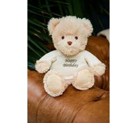 Warmies 9'' Happy Birthday Microwaveable Plush Bear Intelex Multi One Size