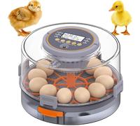 Intelligent Egg Incubator, Automatic Incubator with 12 Eggs & Automatic Egg Turning Humidity Control, Large Capacity Water Tank Incubators for Hatching Poultry Quail Duck Eggs