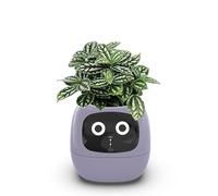 Intelligent Flower Pot, Smart Pet Planter Robot, Adorable Plant Companion with Rich Gesture Interaction, Multiple Expressions, 7 Smart Sensors, Make Raising Plants Easy and Fun(Green)(Color:Purple)