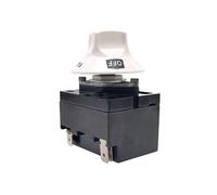 Intelligent Temperature Controller Thermostat TYJ6202 Rotary Temperature Switch For Injection Molding Machine IDGTTLDF