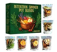 Intention Simmer Pot Blends, Reiki-Infused Simmer Pot Mix for Stove Potpourri, for Home Fragrance, Manifestation, and Energy Cleansing, Unique Mindfulness & Spiritual Gift Idea (6Pcs)