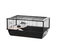 INTER-ZOO G306ACTB Wooden Metal Plastic Cage 48 x 48 x 36 cm - Brand: INTER-ZOO - EAN: 5907600701076