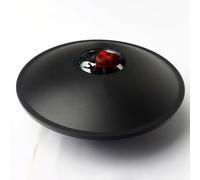 Interactive 3D Hologram Maker for Children Enhance Learning Through Visual Effects (ladybug)