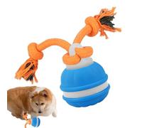 Interactive Ball for Dogs - Electric Smart Fun Toy - Dog Toy Balls,for Enrichment Stimulation Boredom Fetch Chew Training Exercise