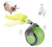 Interactive Ball Toys Automatic Ball Faux Mouse Electric Pet Toy Rechargeable Tail Training R4A4 Imitate Smart D