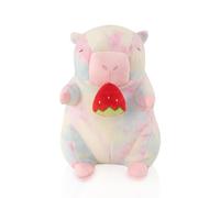 Interactive Capybara Plush Toy, Capybara Gifts For Girls And Boys, 25cm Cute Rainbow Teddy, Birthdays Gifts For Girlfriend, Capybara Soft toys For Kids, With Pullable Strawberry Mouth