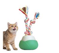 Interactive Cat Ball - Interactive Toy Ball | Third Generation for Agile and Mobile Cat with Elastic Mesh Tail Indoor And Outdoor Training