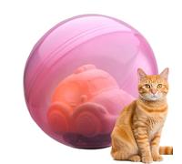 Interactive Cat Ball Toy,Rolling Ball Automatic Cat Enrichment Toys - USB Rechargeable, Turtle Car Shape with Lights & Music for Indoor Games, Exercise Play