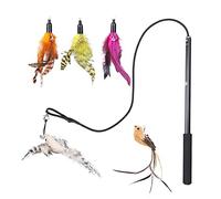 Interactive Cat Feather Toys Retractable Charmer Wand with 5PCS Teaser Refills Worm Bird Feathers for Indoor Outdoor Cats Kitten Play Chase Exercise Training Entertainment