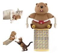 Interactive Cat Glove,Cat Wrestling Glove, Cats Puppet Wrestler with Tough Padding for Safe Interactive Play, Funny Indoor Cats Wrestling Toy Puppet with Kitten Teaser and Bell,Ragdoll Wrestler (1PC)