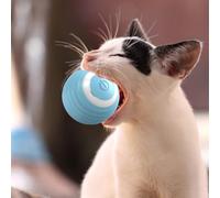 Interactive Cat Toy Ball - Automatic Movement Rolling Toy, Heavy Duty Pet Exercise Ball, Rechargeable Teething Game, Soft Design | Self Play