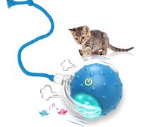 Interactive Cat Toy Ball, Fast Rolling Chirping Motion Activated Kitten Toys for Indoor Play on Carpet