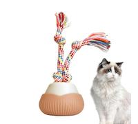 Interactive Cat Toy Ball - USB-C Rechargeable | 2.7" Audio Recording, Scratching Post and LED Light Mode (Blue, Red, Green) for Simulation Game, Training and Hunting