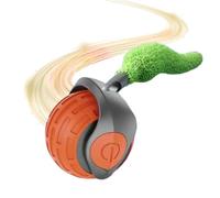 Interactive Cat Toy - Rolling Ball with Tail, Automatic Moving Tracking Toy for Kittens | Two Speed Adjustable Cat Exercise Toy, Sturdy Ball