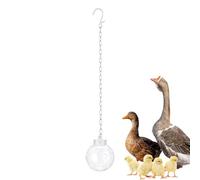 Interactive Chicken Holder with Chain Dispenser