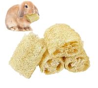 Interactive Chinchilla Toys - Rabbit Chew Toys for Teething 4 Pieces Loofah Hamsters | For Pet Owners & Lovers, Cats, Dogs, Houses, Cages & Ref