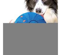 Interactive Dog Ball,Electric Dog Toys to Keep Them Busy | USB Rechargeable Automatic Toy, Bouncing Ball for Living Room Garage Lawn Backyard Patio Park Front Door Playing