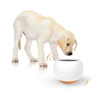 Interactive Dog Bowl, Slow Feeder Rock 'N Bowl Puzzle Feeder, Anxiety Relief, Boredom Buster, Fun Enrichment Anti-Choking Feeding Dish