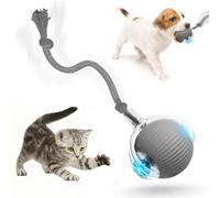 Interactive Dog Toy - 360° Rolling Balls with Rope, Engaging Indoor Play for Dogs and Cats, Fun and Stimulating Activity for Pets