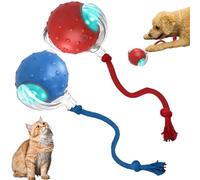Interactive Dog Toy Ball, 360° Smart Automatic Rolling Toy with Birdsong for Indoor Play, Fast Moving Ball for Dogs and Cats