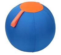 Interactive Dog Toy Herding Training TPR Chew Light Up for Adult Dogs Indoor Outdoor (Blue, M)