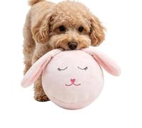 Interactive Dog Toy Inflatable Soft Plush Cute Interactive Toy | Large Fabric Dog Ball Anti-Boredom Active Beach Pool Park Yard Home Garden Indoor