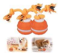 Interactive Dog Toys, 2026 New Chase Buddy Dog Toy with Bird Sounds, Active Moving Ball with Tail, USB Charging for Small Medium Large Dogs