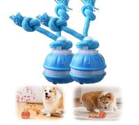Interactive Dog Toys, 2026 New Chase Buddy Dog Toy with Bird Sounds, Active Moving Ball with Tail, USB Charging for Small Medium Large Dogs