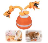 Interactive Dog Toys, 2026 New Chase Buddy Dog Toy with Bird Sounds, Active Moving Ball with Tail, USB Charging for Small Medium Large Dogs