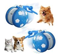 Interactive Dog Toys, 2026 Upgraded Motion-Activated Electric Automatic Rolling Ball with Rope, Random Path Movement, Rechargeable Boredom Relief Toy for Small Medium Large Dogs (Blue*2)
