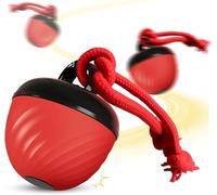 Interactive Dog Toys Ball, Moving Dog Toy for Boredom, Moving Dog Ball with Touch Activated, Motion Activated Automatic Toys for Puppy/Small/Medium Dogs, USB Charging, Birthday for Dogs (Red)