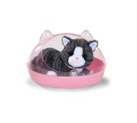 BABY born Meine Katze Cookie mit Box