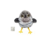 Interactive Flying Kitten Toy with Natural Sounds for Agility Training and Reducing Destructive Play