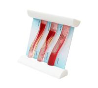Interactive Human Vascular Systems Model Education Tool Design for Medicals Students to Study Blood Clots and Blockages Clinical Teaching Vascular Model