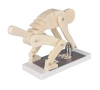 Interactive Lumbar Spine Trainer with Real-Life Proportions, Posture Corrector for Biomechanics Education and Gym Safety