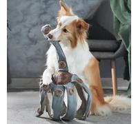 Interactive Puzzle for Dogs, Treat Dispensing Brain Toy with Barriers, Spikes & Twisty Traps, Engages Smart Small, Medium & Large Dogs, Durable Chew Challenge (Large 80cm)