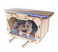 Interactive Science Toy, Hands-On Experiment Kit, Learning Activity with Mechanism, Educational Wooden Puzzle Kit, Stem Toy with Creative Design, Kids Learning Toys for Playroom and School