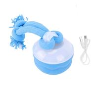 Interactive Smart Dog Ball for Boredom, Squeaky Dog Toy Automatic Bouncing Teeth Cleaning Toy with Rechargeable Battery for Puppy Active Rolling Wicked Ball with Rope